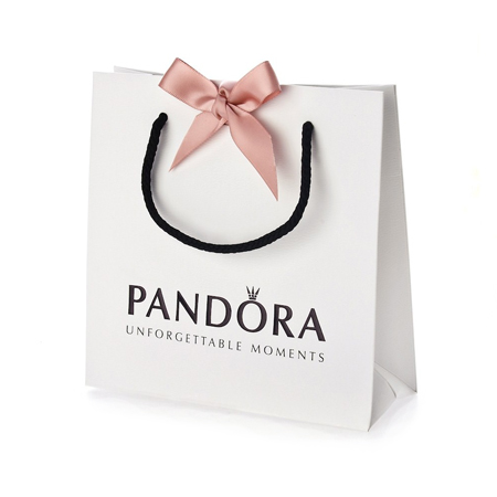 pandora bracelet bag